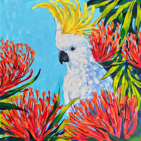 Cockatoo's Secret Garden