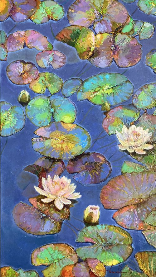 Water lilies. by Andriy Vutyanov