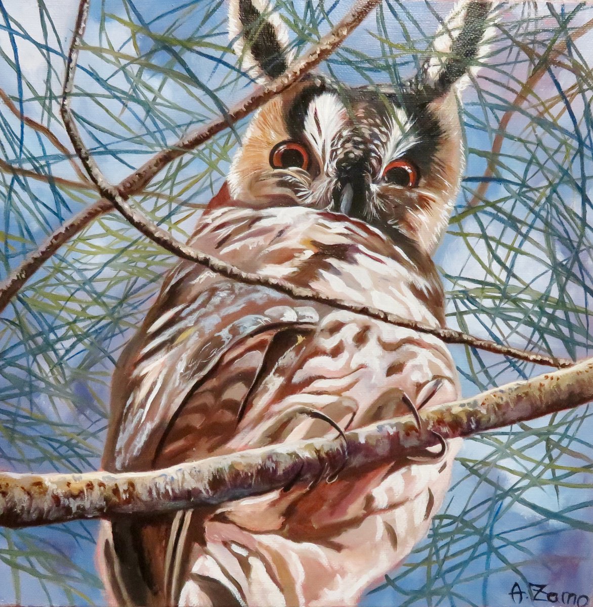 Photorealistic Animal Oil Painting By Anne Zamo, 12 X 12, Point Of View, Original Artwork