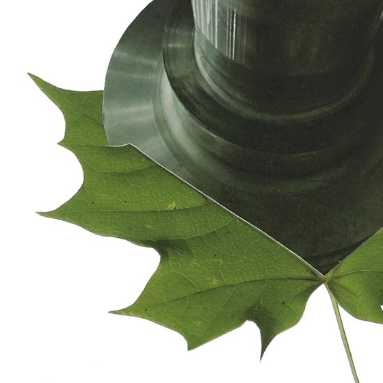 Leaf 3