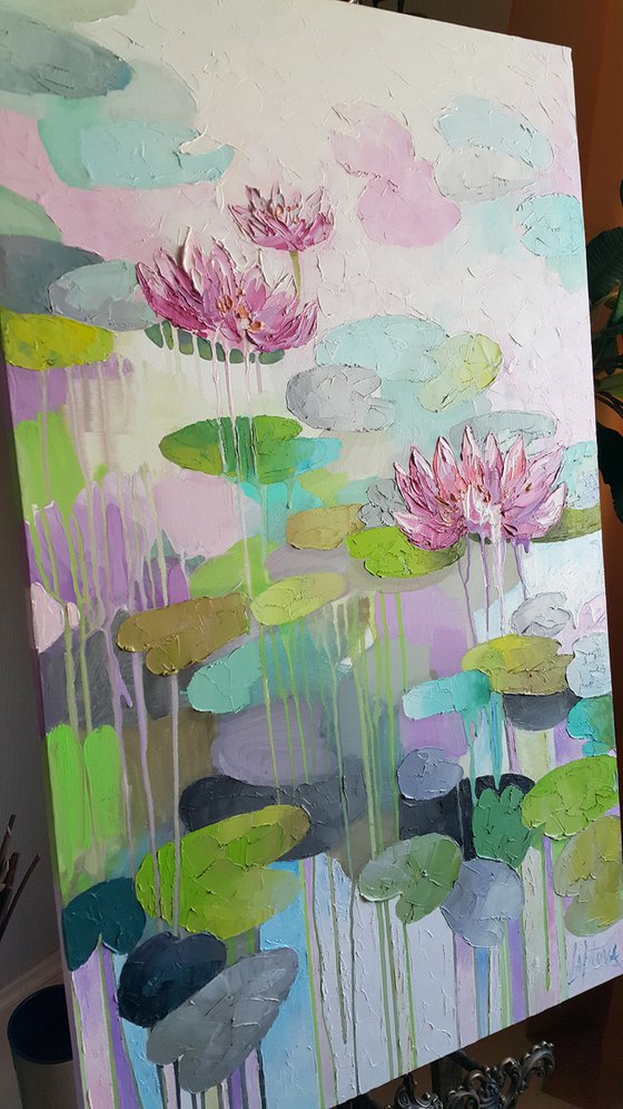 Pink water lilies
