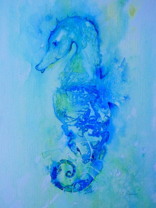 Seahorse by Seonaid Parnell