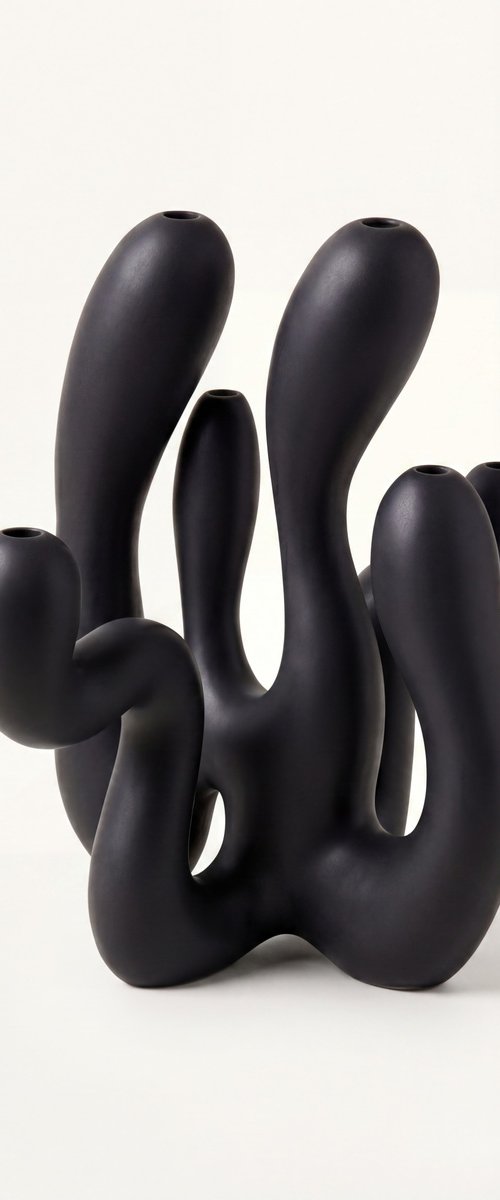 Hold the Light - Black by Shadia Sabagh