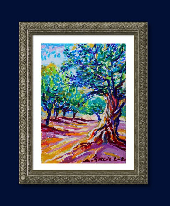 Olive grove No 23