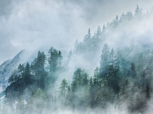 Mystic Forest - Foggy landscape by Peter Zelei