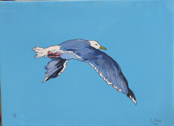 Seagull #3