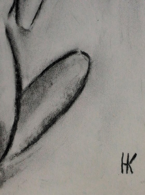 Female Nude Charcoal Art