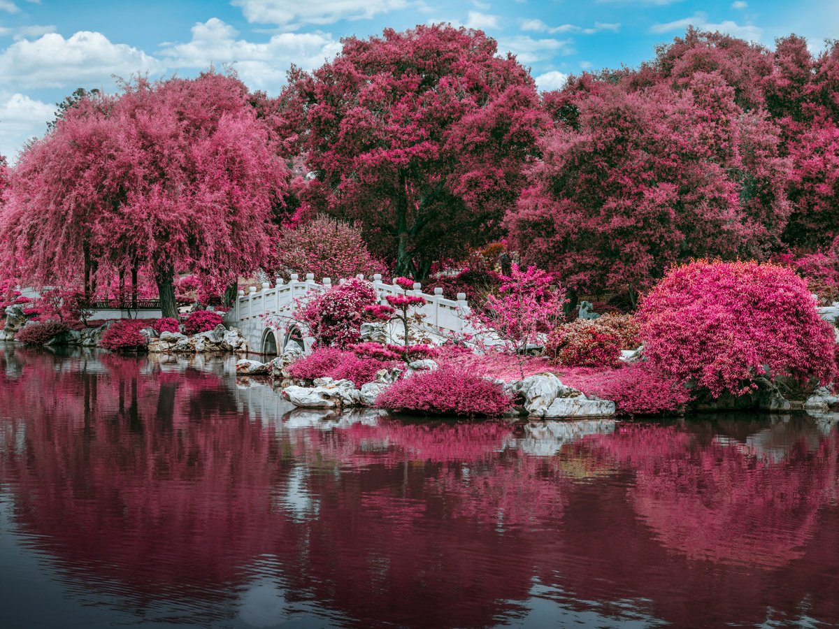 ZEN GARDEN II by Harv Greenberg