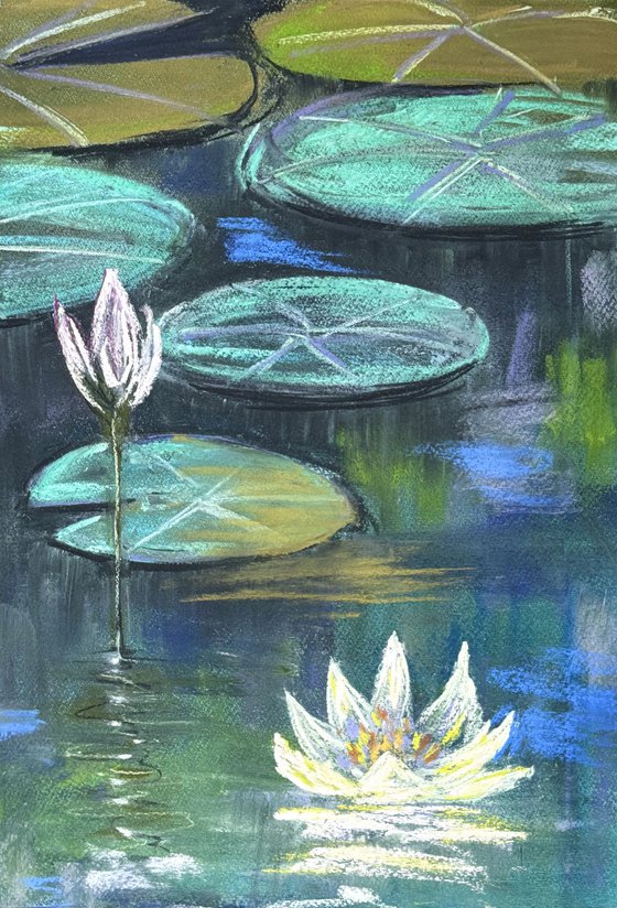 Waterlily Set of 2 Pastel