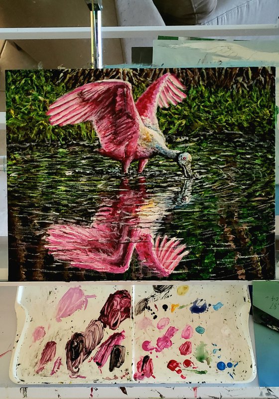 Roseate Spoonbill