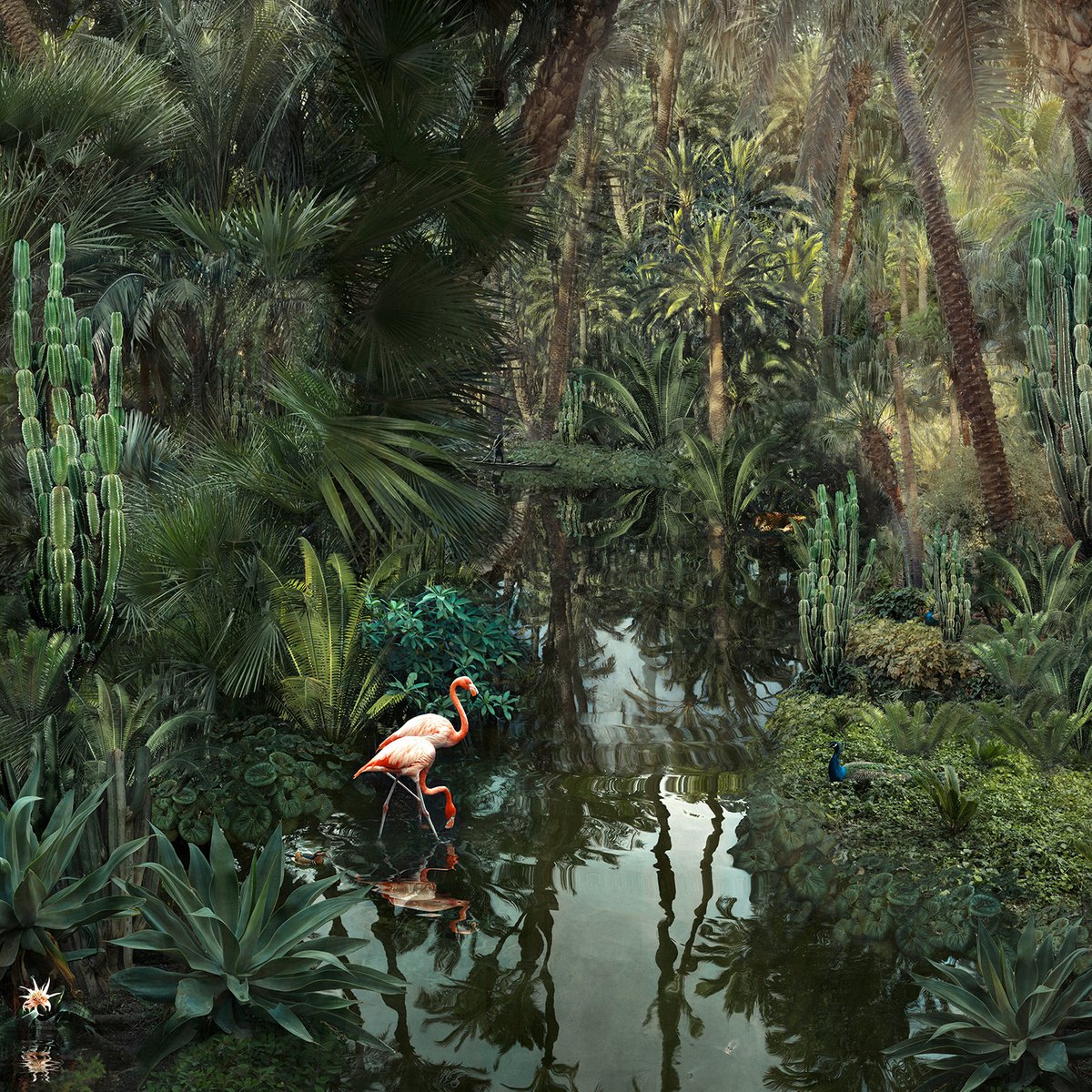 Impressionistic Landscape Photograph By Nadia Attura, 20 X 20", Backwaters Garden, Original Artwork