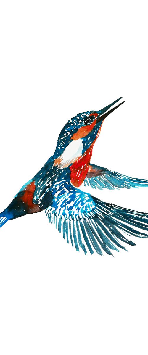 Kingfisher in flight by Karina Danylchuk
