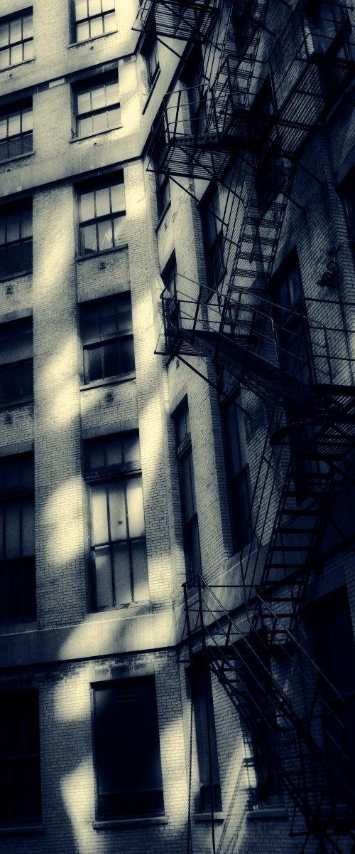 The Last Fire Escape by Robert Tolchin