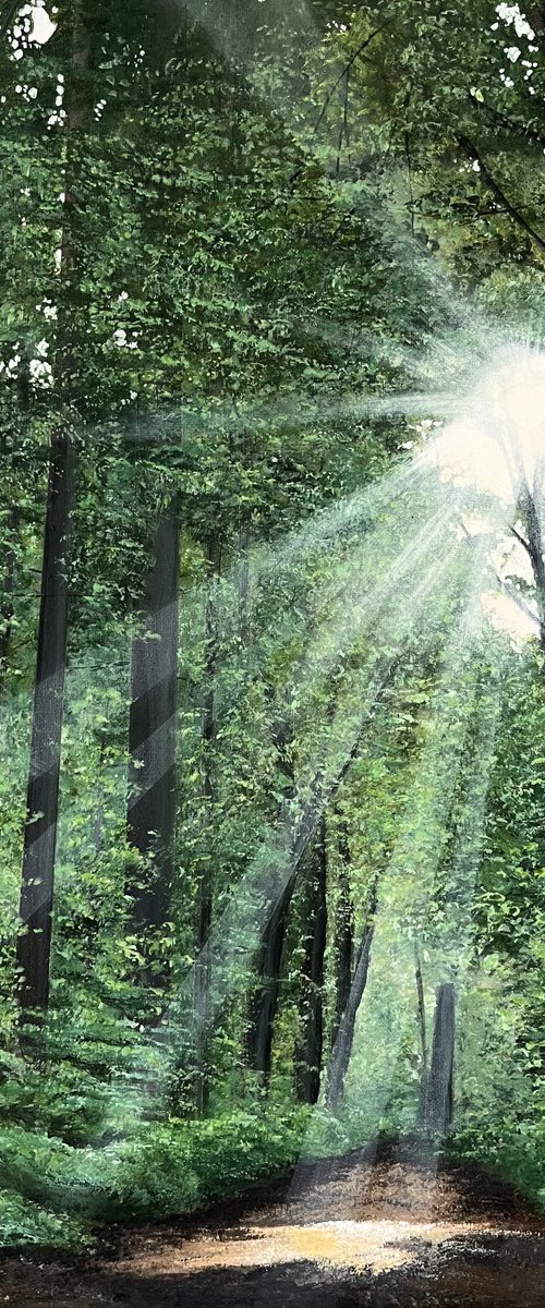Nature's Path by Victoria Obolensky