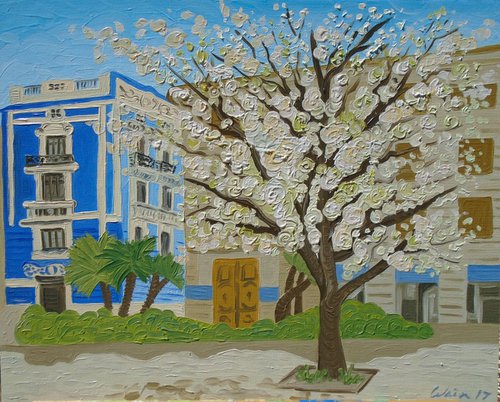 Blossom tree in Alzira, Valencia by Kirsty Wain
