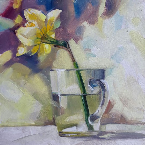 Daffodil in a glass