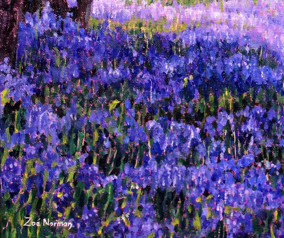 Through the Bluebells