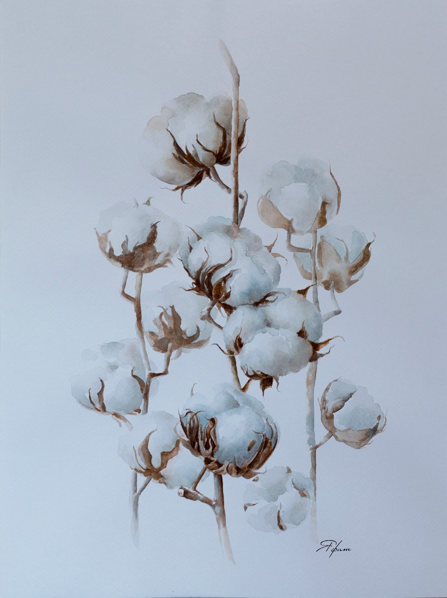 Cotton flowers 3 by Yafit Moshensky