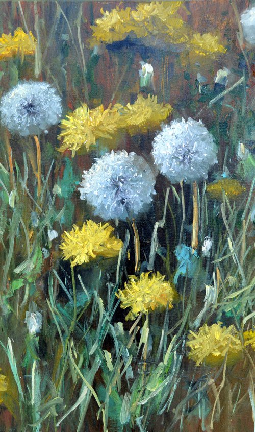 Fragment of a lawn of dandelions by Elena Lukina
