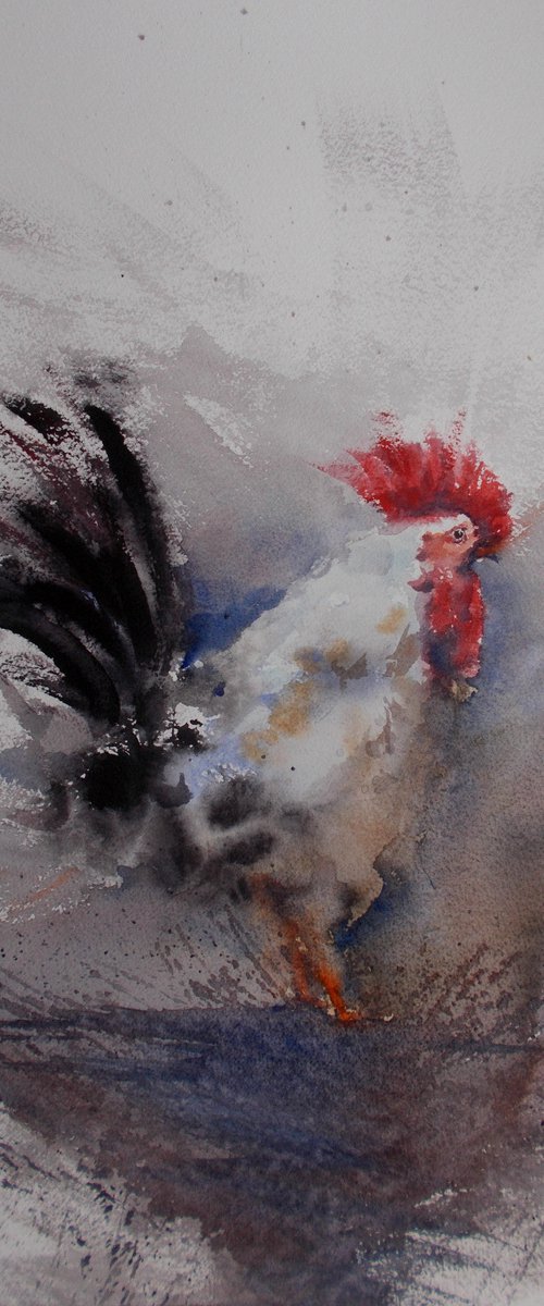 rooster 15 by Giorgio Gosti