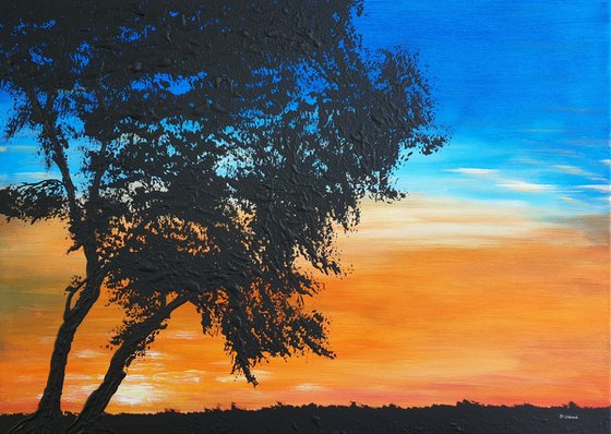 Red sunset 1