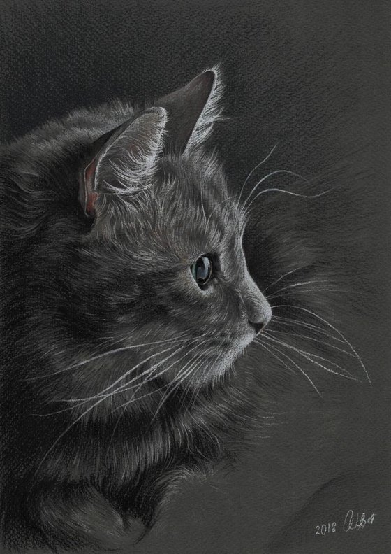 Grey cat. Pastels on grey paper. 21cm x 30cm.