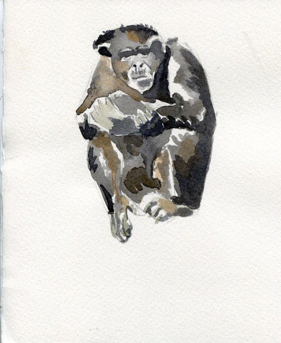 Chimpanzee Watercolour