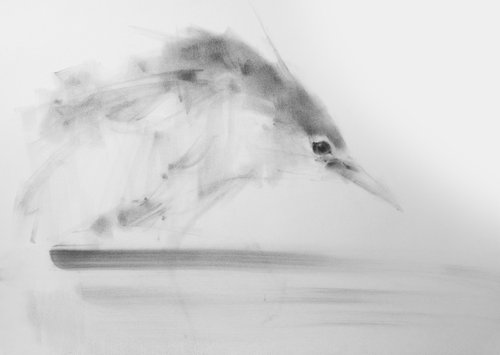 Night Heron by Tianyin Wang