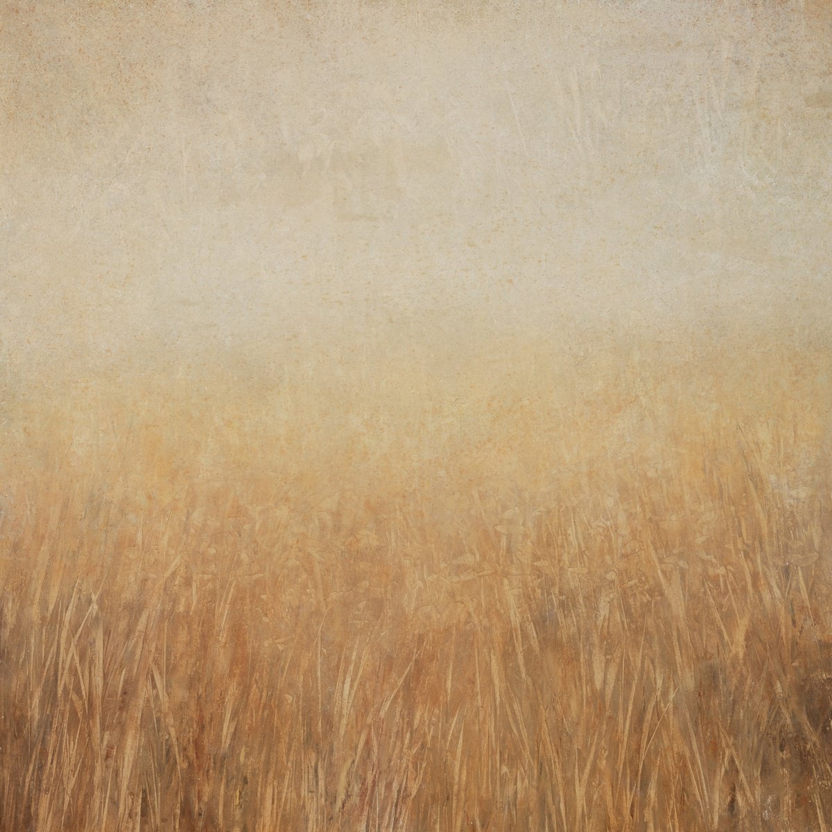 Organic Abstract Acrylic Painting By Don Bishop, 40 X 40, Sunshine Morning 250224, Original Artwork