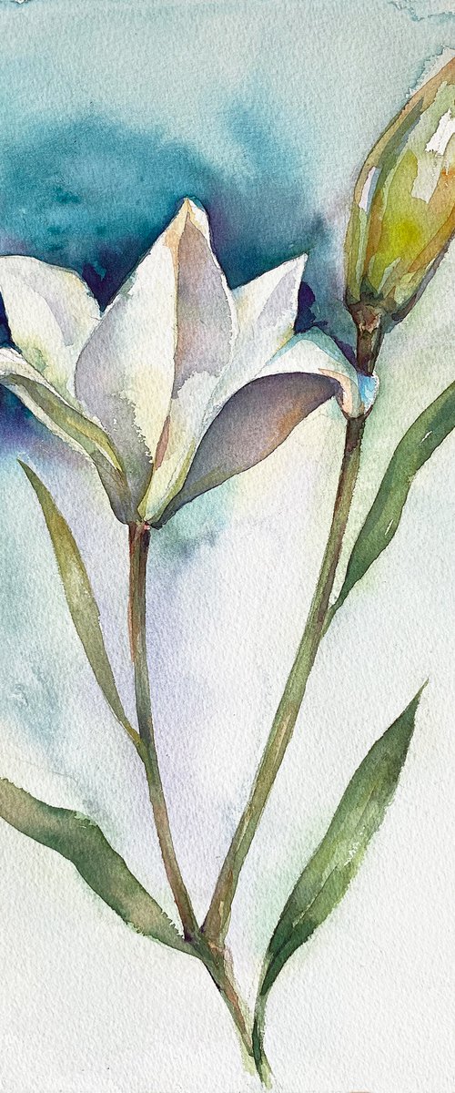 Lilies I by Paola Minekov