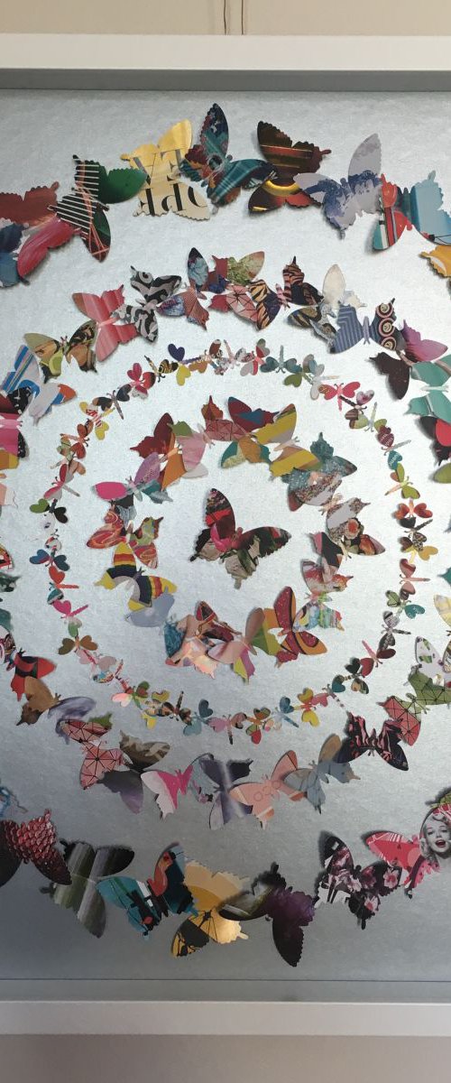 Circle of Life by Hernan Reinoso