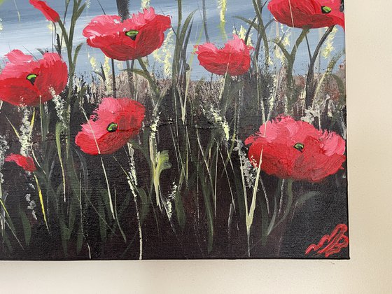 Red Poppies on a Panoramic Canvas