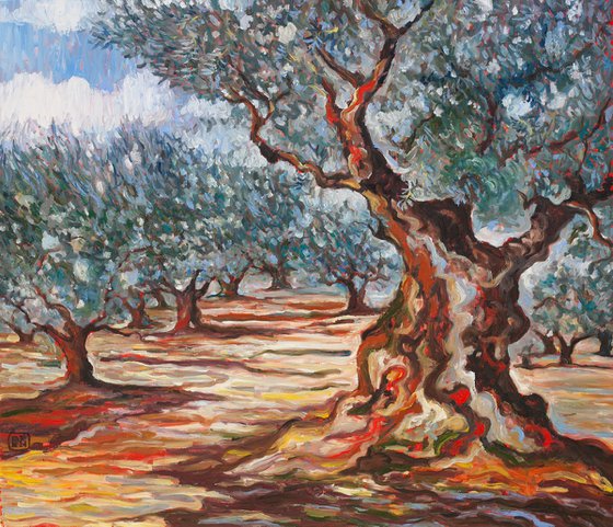 Olive Grove