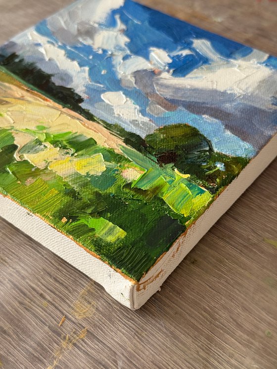 Fields Beneath the Wind
