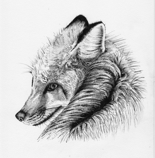 Winter Fox by Helen Inkles