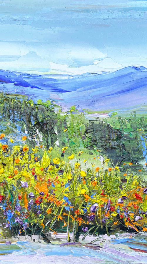 Spring In Sonoma Wine Country by Lisa Elley
