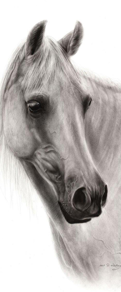 White Horse by Danguole Serstinskaja