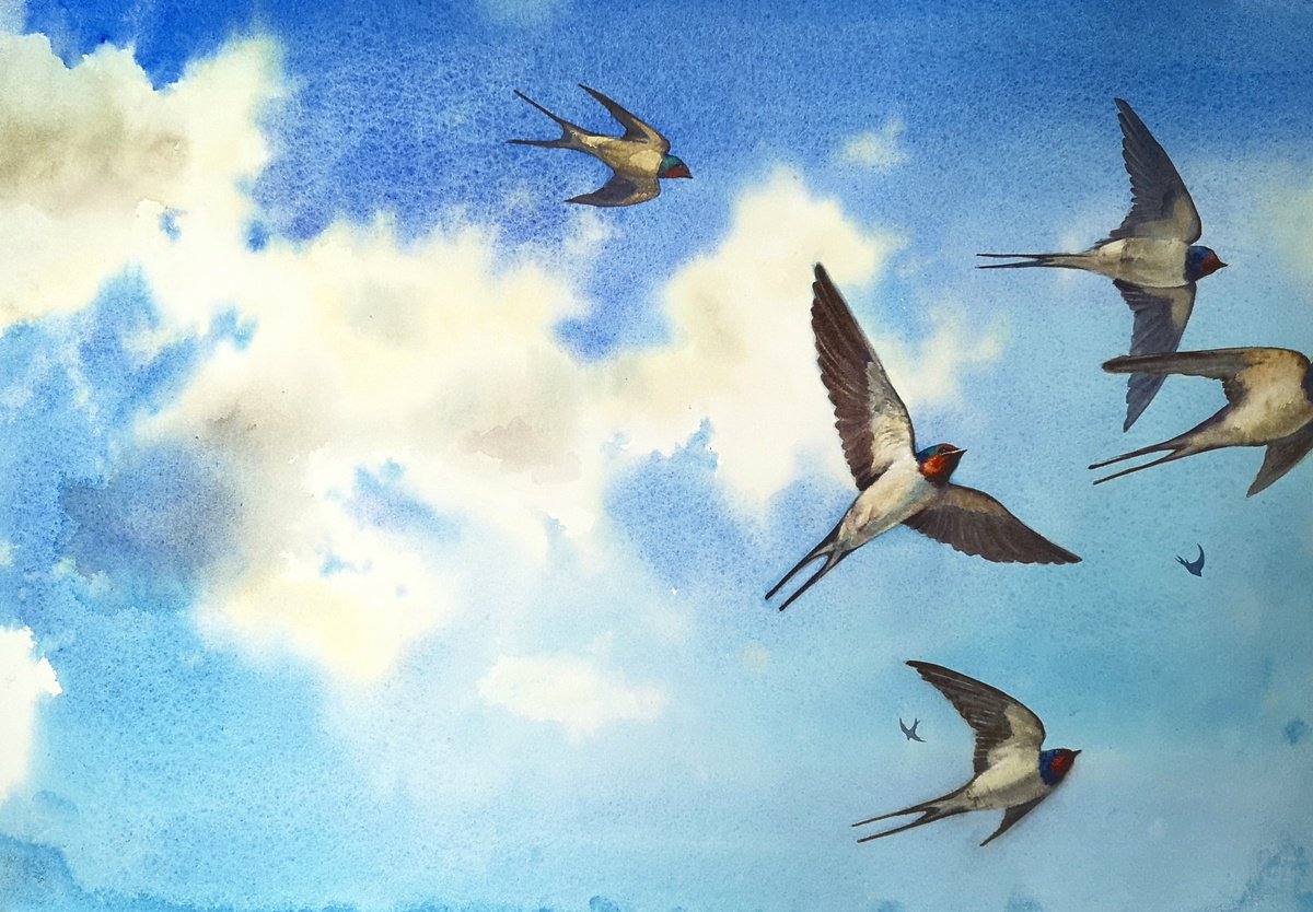 A Gulp of Swallows by Olga Beliaeva Watercolour