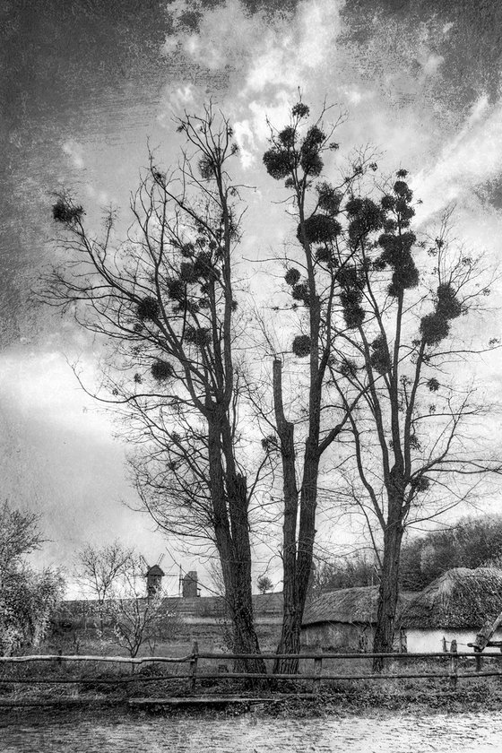 At the edge of spring.