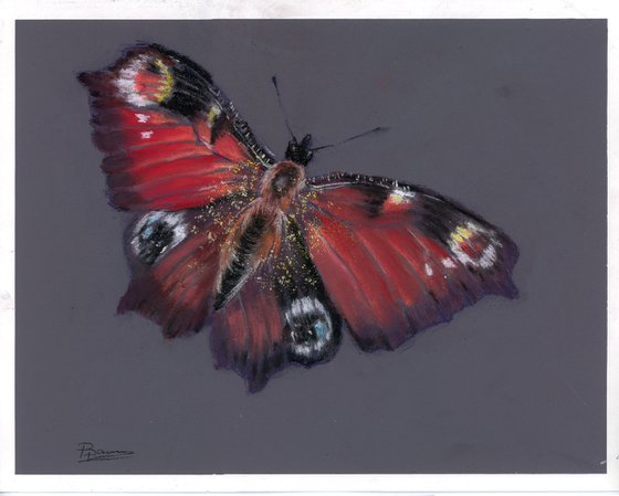 Butterfly (pastel)