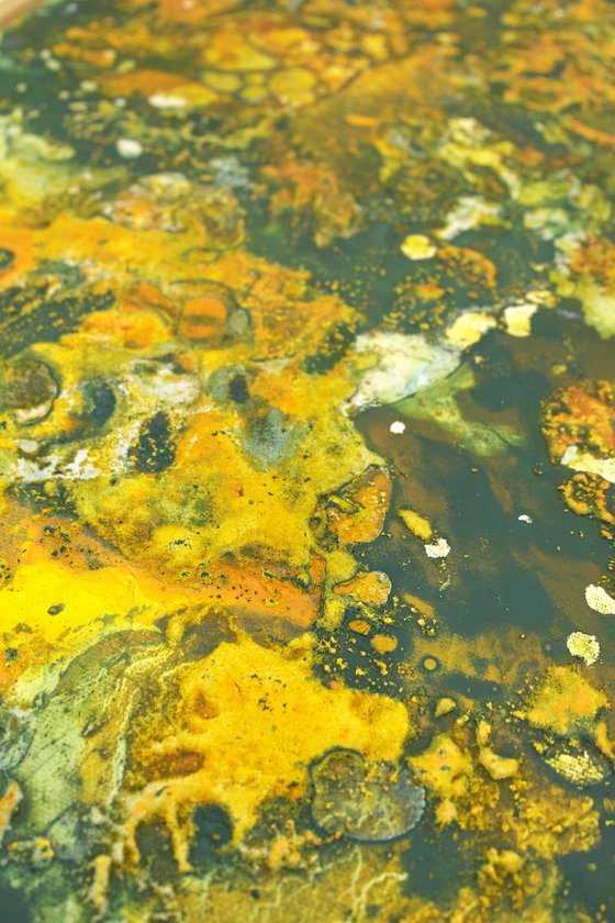 Hā Kōwhai - Breath of Golden Sulphur