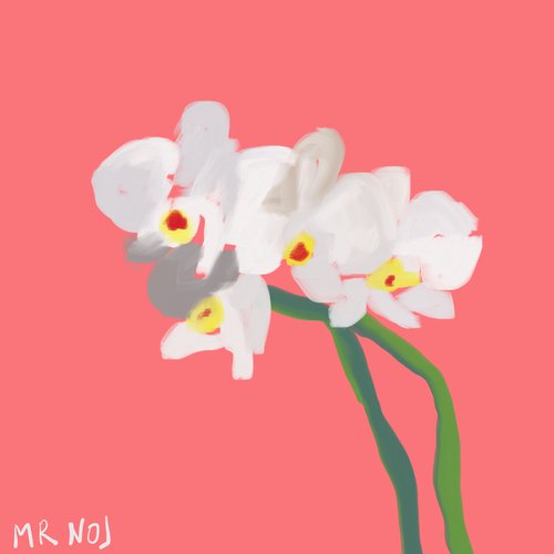 Orchidea II by Mattia Paoli