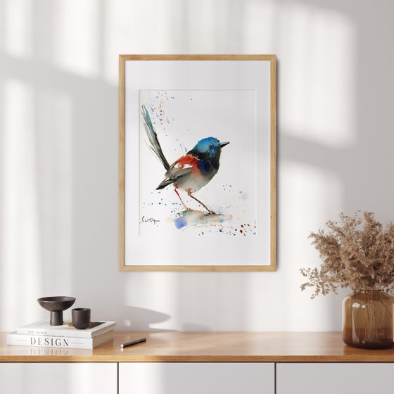 Fairy Wren Bird