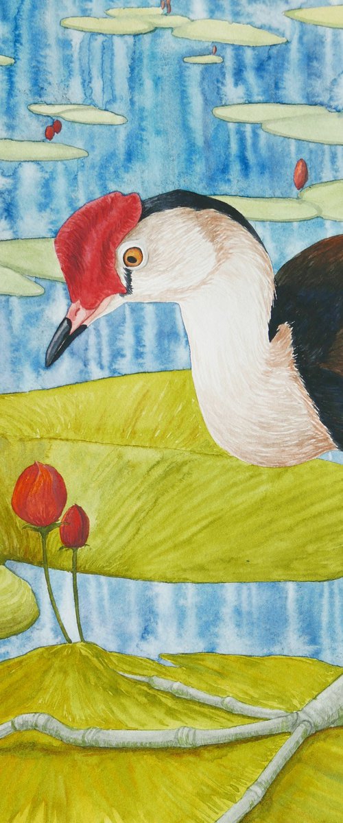 Jacana birds, part 2 by Karina Danylchuk