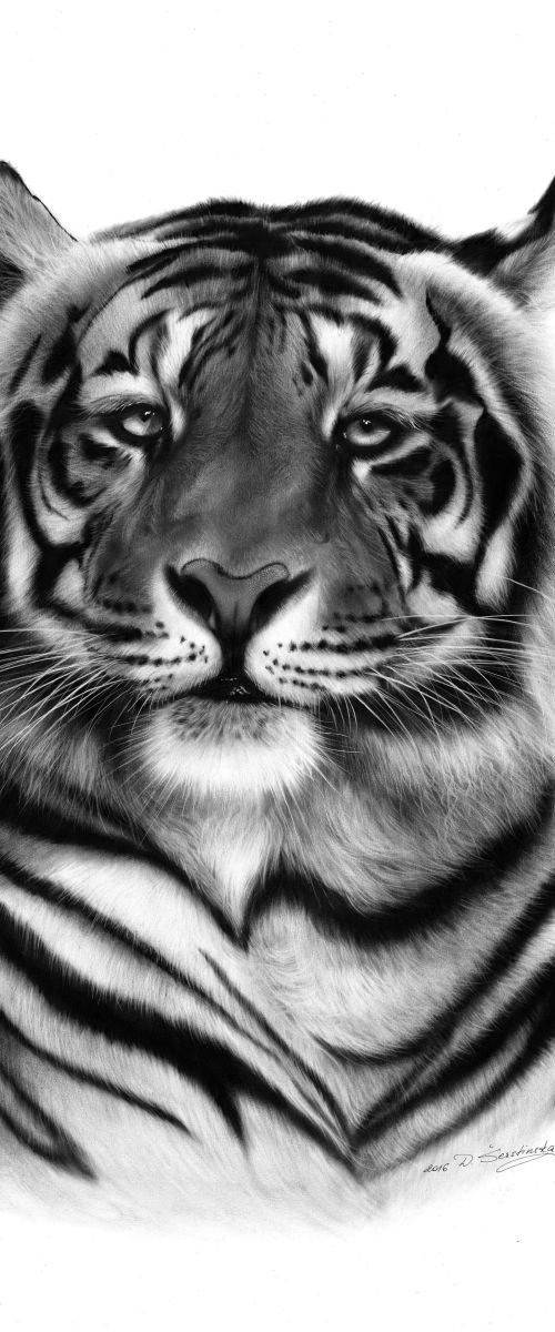 Tiger Painting by Danguole Serstinskaja