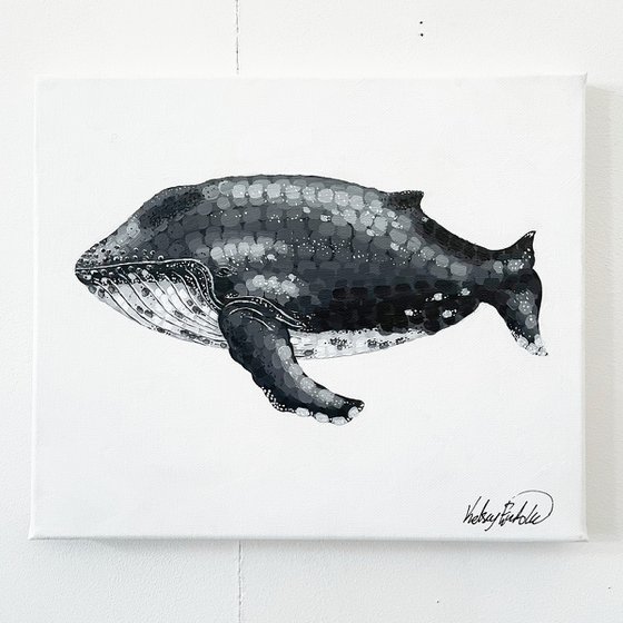 Humpback Whale