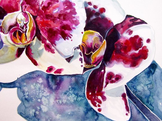 Orchid floral