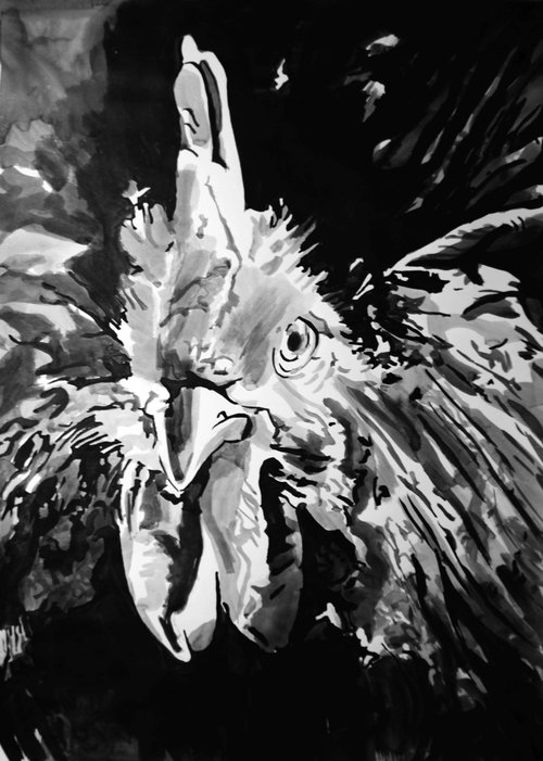 Rooster / 70 X 50 cm by Alexandra Djokic