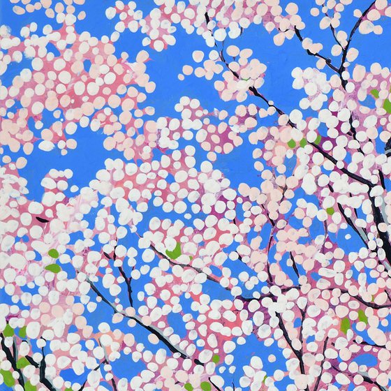 Cherry Blossom #7