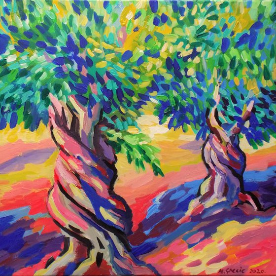 Two olive trees